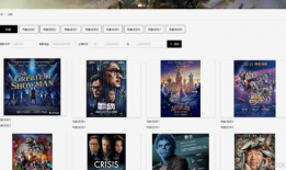 视频网站制作,技术解析与运营策略